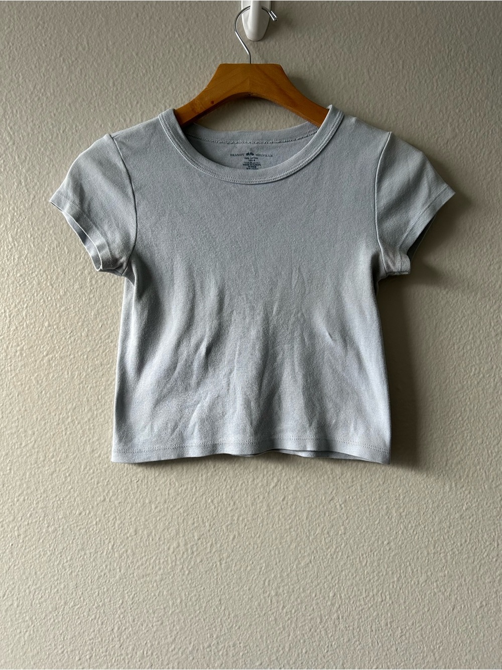Brandy Melville Light Blue Crewneck Cropped Tee, One size
